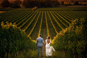 Matrimonio in vigna: 5 consigli per un evento perfetto